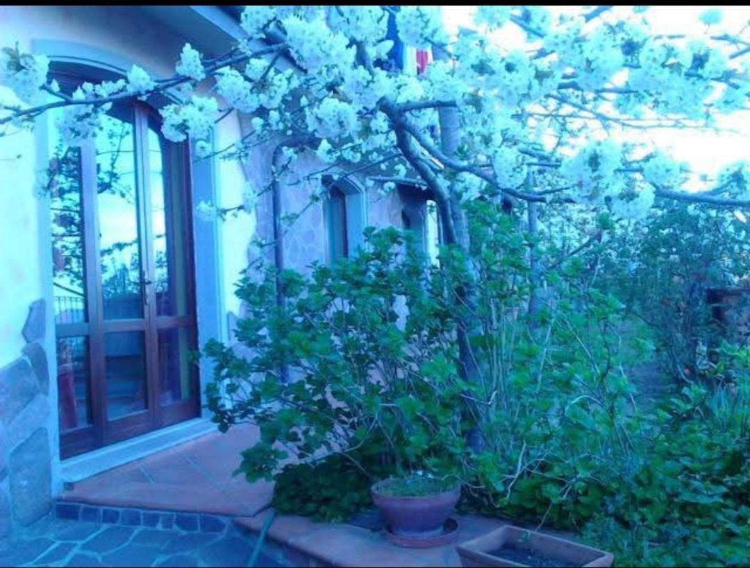 Monti E Mare Bed & Breakfast Lanusei Exterior photo